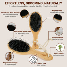 Premium Dual Nylon & Boar Bristle Hair Brush - For All Hair Types
